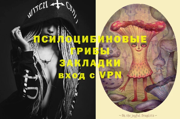 ГАЛЛЮЦИНОГЕННЫЕ ГРИБЫ Бородино