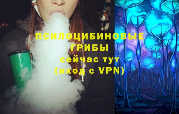 амф Бронницы