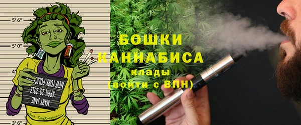 амф Бронницы