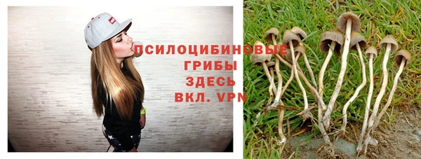 ГАЛЛЮЦИНОГЕННЫЕ ГРИБЫ Бородино