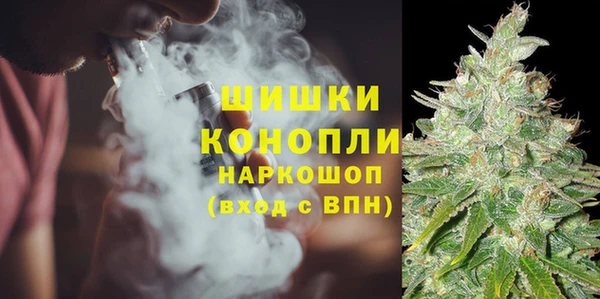 ГАЛЛЮЦИНОГЕННЫЕ ГРИБЫ Бородино