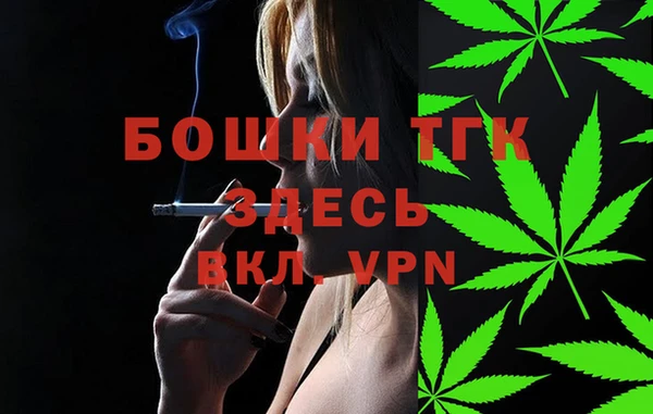 ГАЛЛЮЦИНОГЕННЫЕ ГРИБЫ Бородино