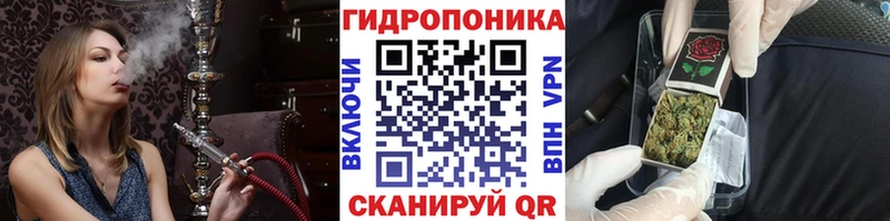 Бошки Шишки сатива  Вельск 